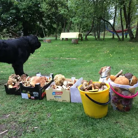 Domki Na Koncu Swiata *